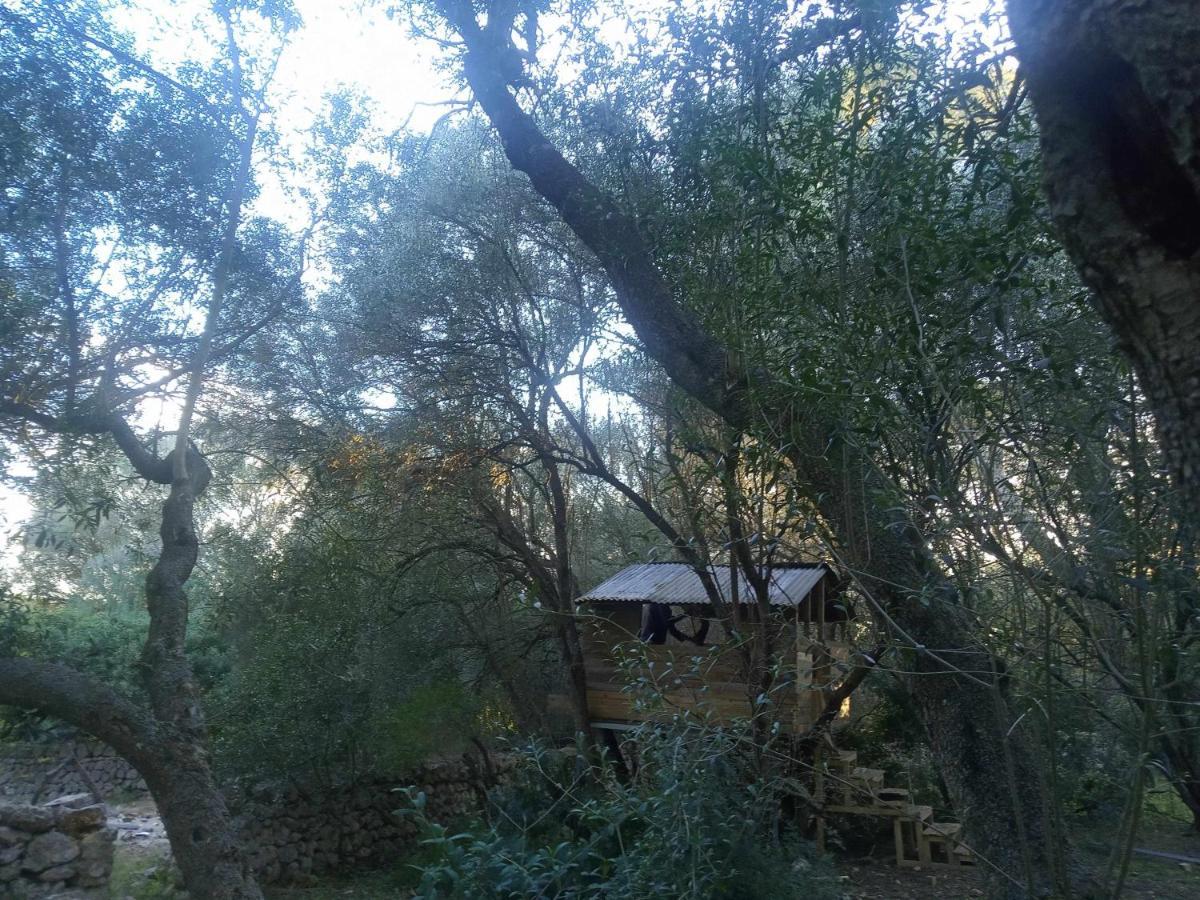 Cas Canar Villa