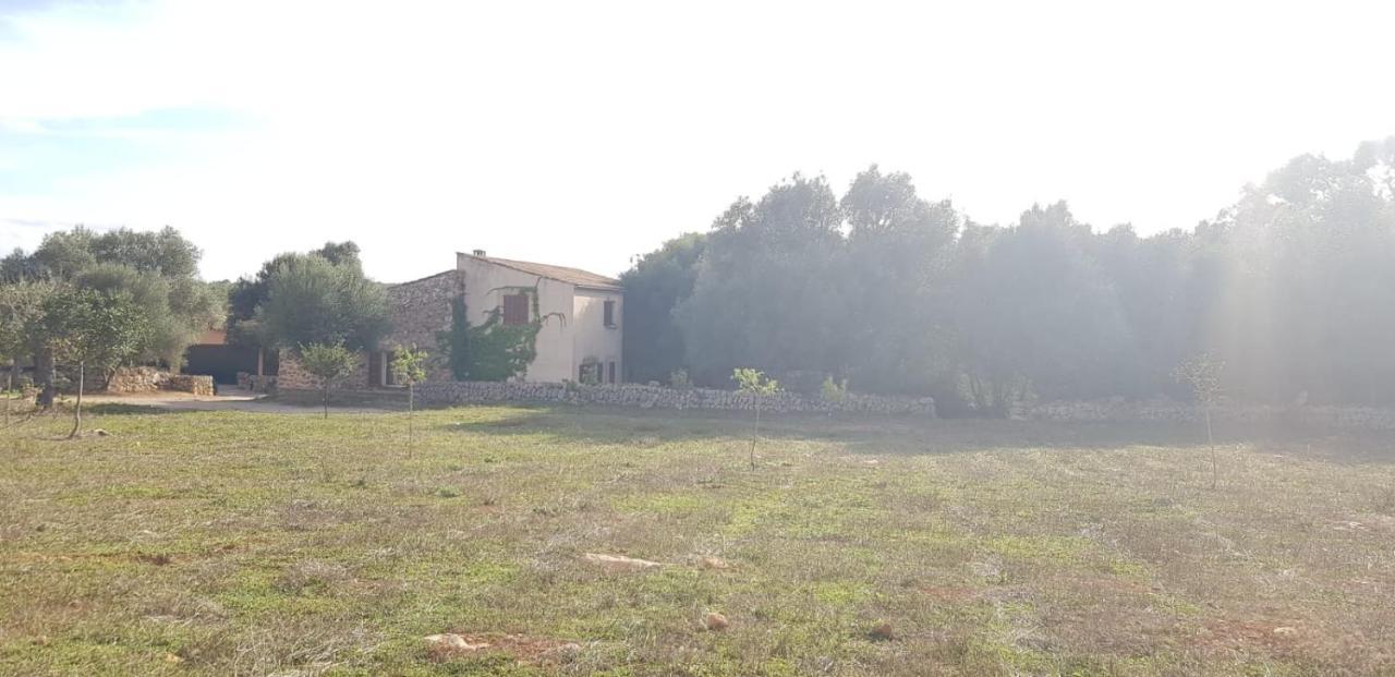 Cas Canar Villa Sencelles